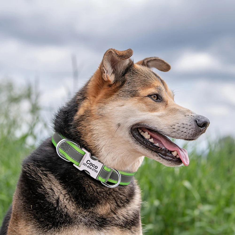 ReflectaID™ Personalized Dog Collar - Engraved ID, Reflective Nylon with Soft Padding