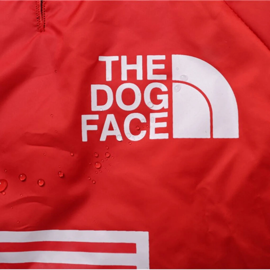 RainPal Dog Coat