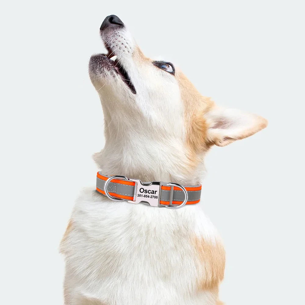 ReflectaID™ Personalized Dog Collar - Engraved ID, Reflective Nylon with Soft Padding