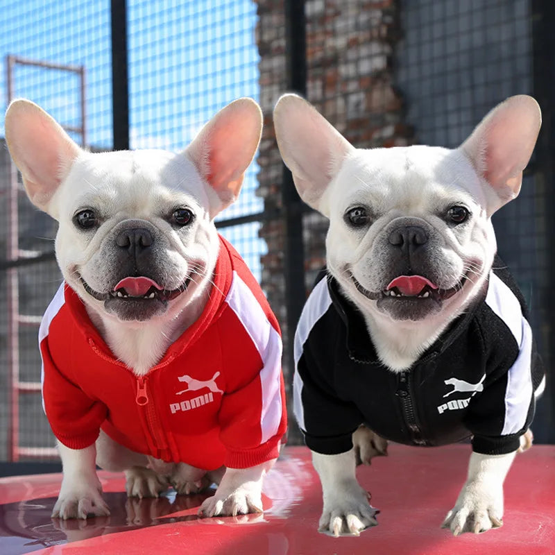 Puppy Pomii Winter Dog Sweatshirt
