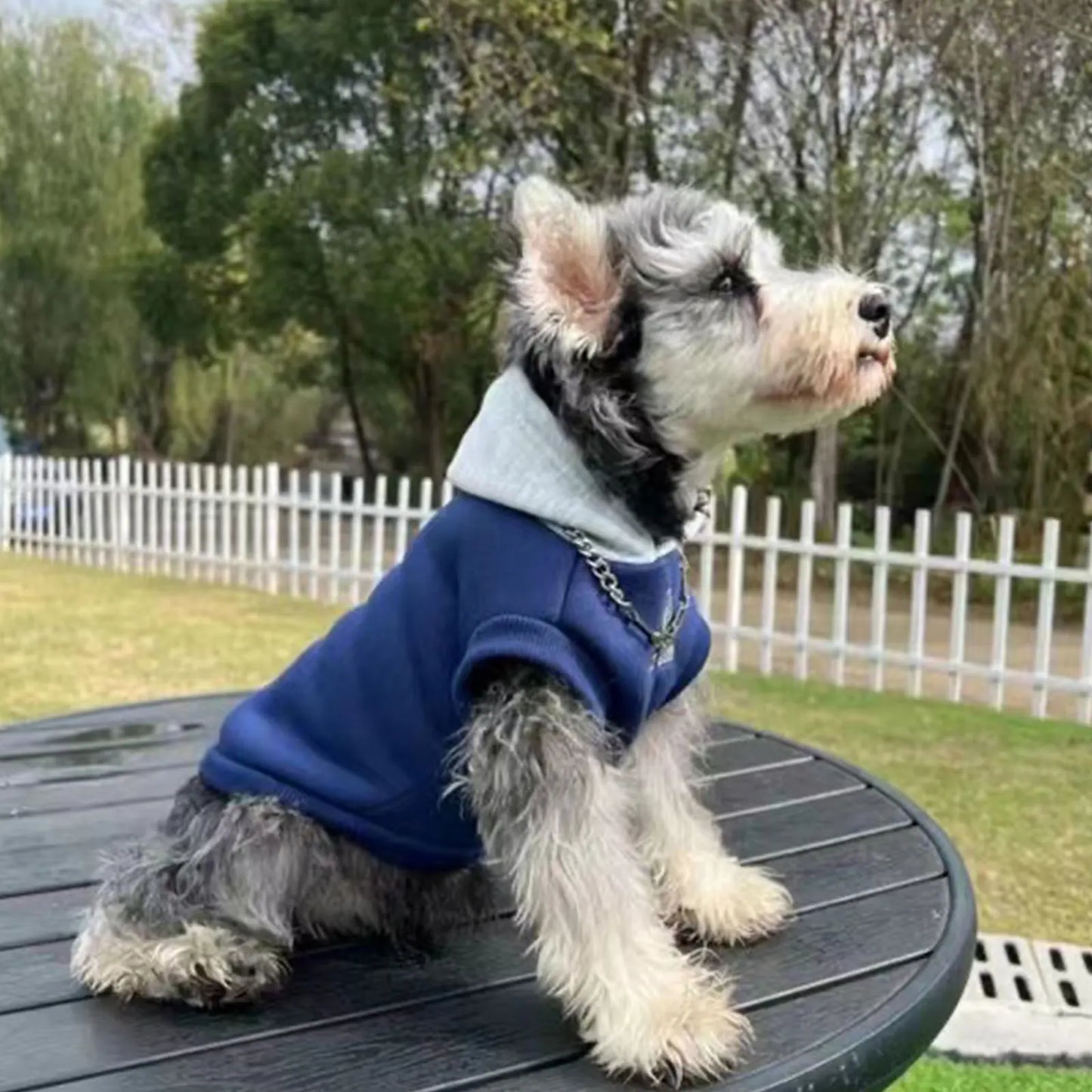 ChillPaws™ Fashion Dog Hoodie - Soft Winter Sweatshirt