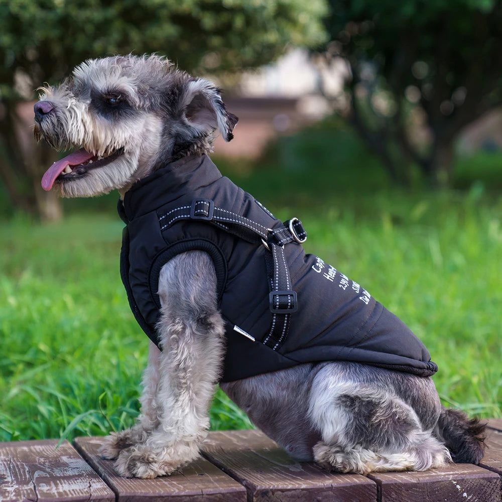 Dozzy Dog Waterproof Winter Jacket With Harness