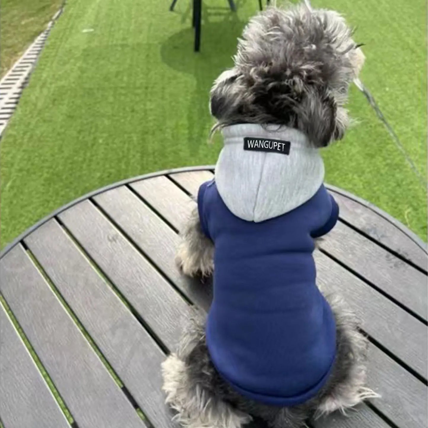 ChillPaws™ Fashion Dog Hoodie - Soft Winter Sweatshirt