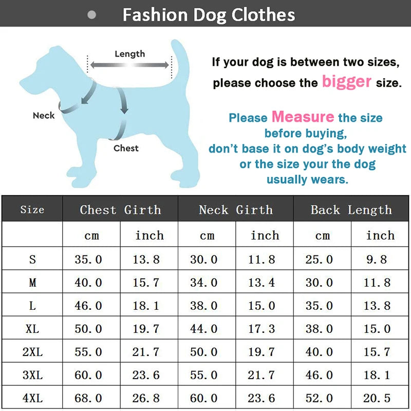 Puppy Pomii Winter Dog Sweatshirt