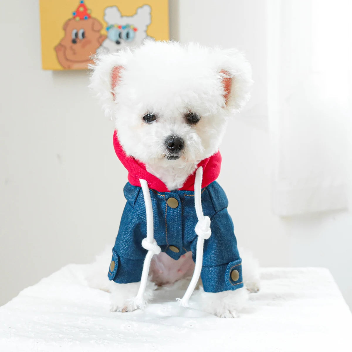 CaliCowboy™ Winter/Spring Dog Coat