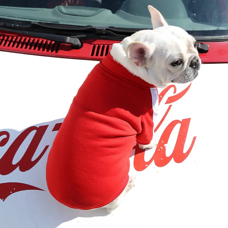 Puppy Pomii Winter Dog Sweatshirt