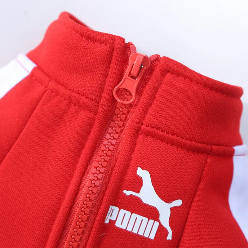 Puppy Pomii Winter Dog Sweatshirt