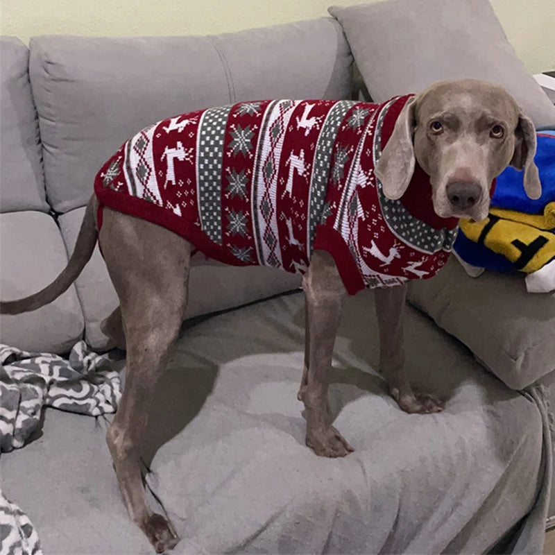 Cozy Canine Stripes Dog Sweater