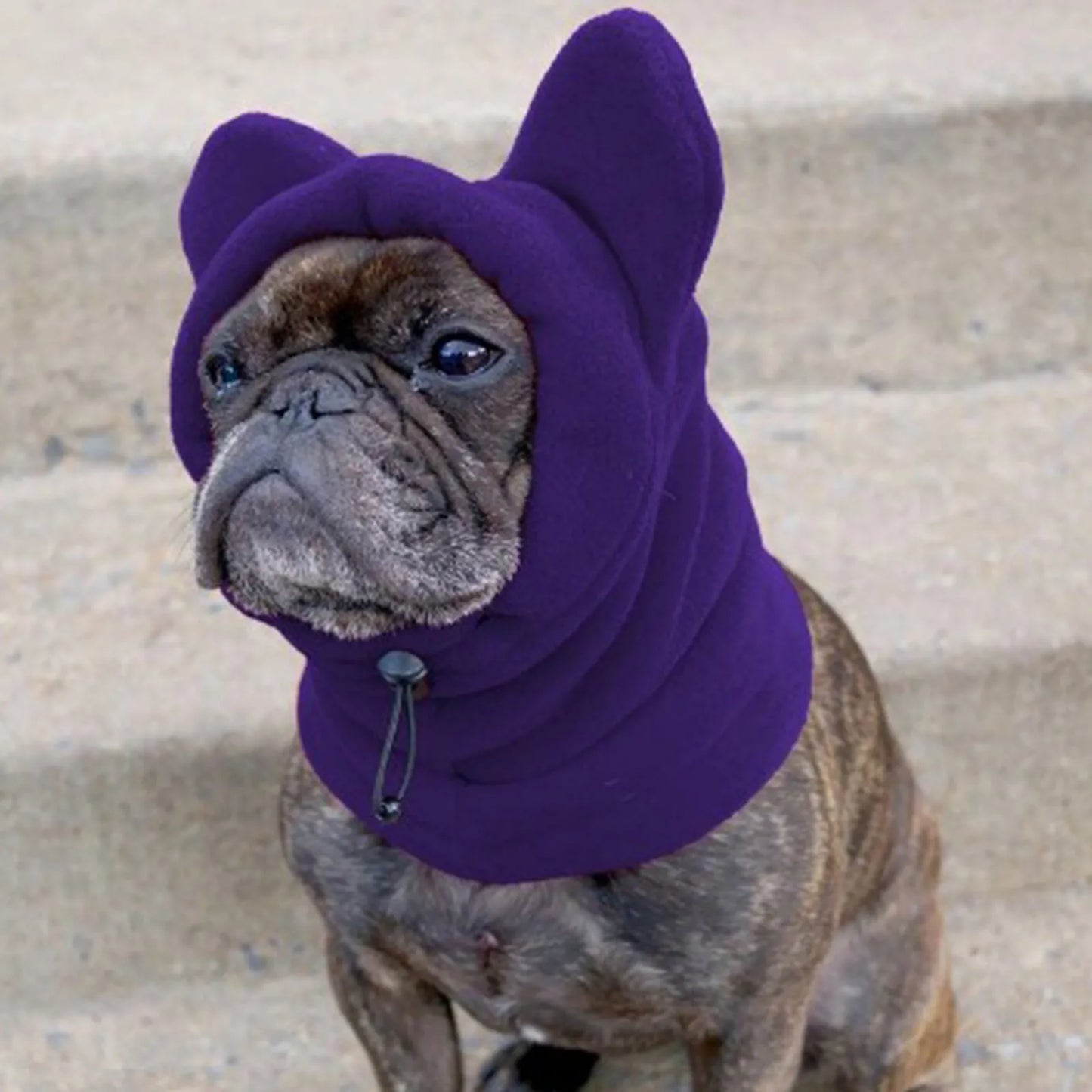 Toasty Pet Fleece Dog Hat Hoodie