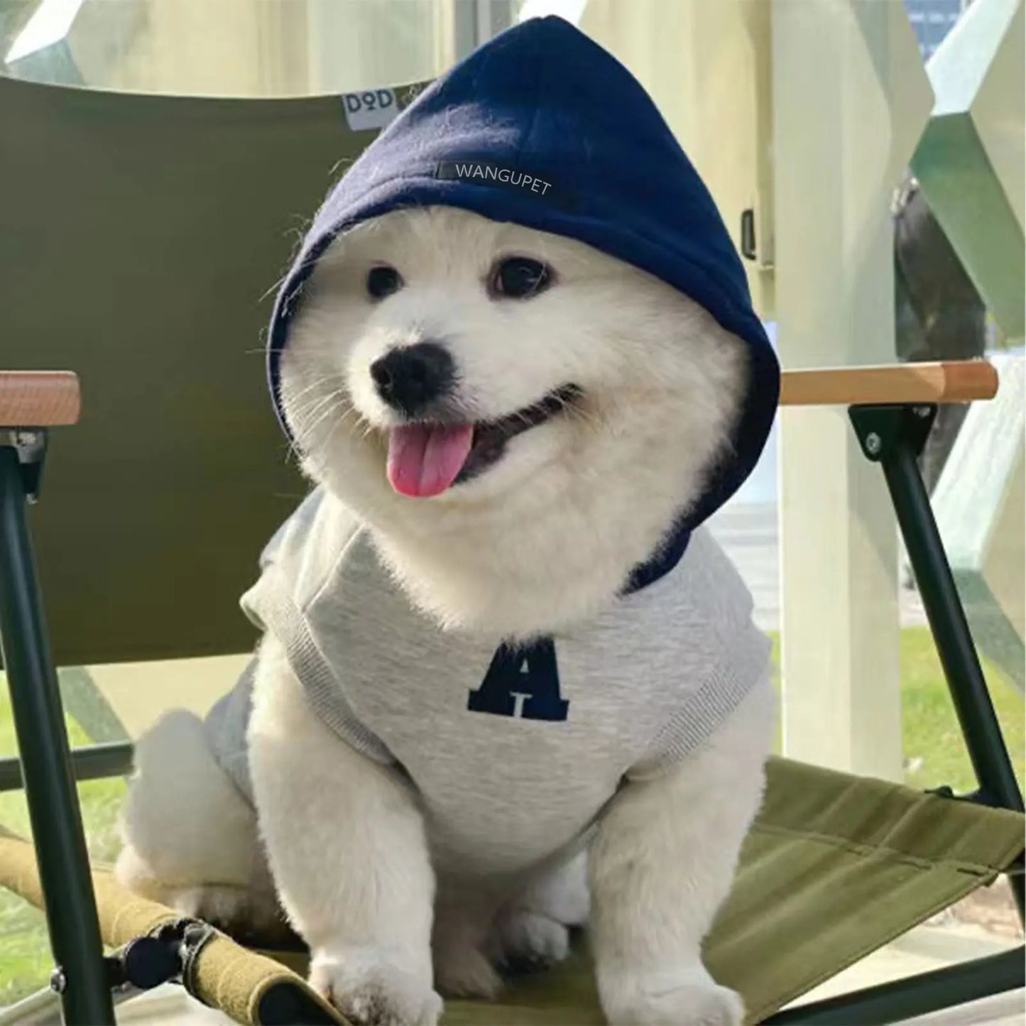 ChillPaws™ Fashion Dog Hoodie - Soft Winter Sweatshirt