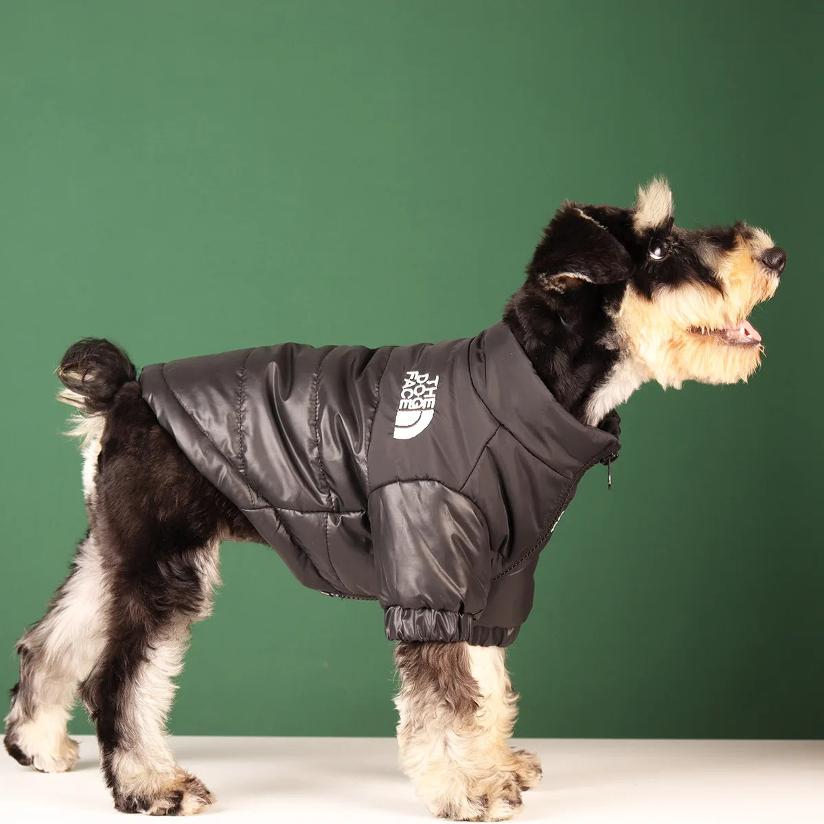 Comfy Paws Winter Dog Coat
