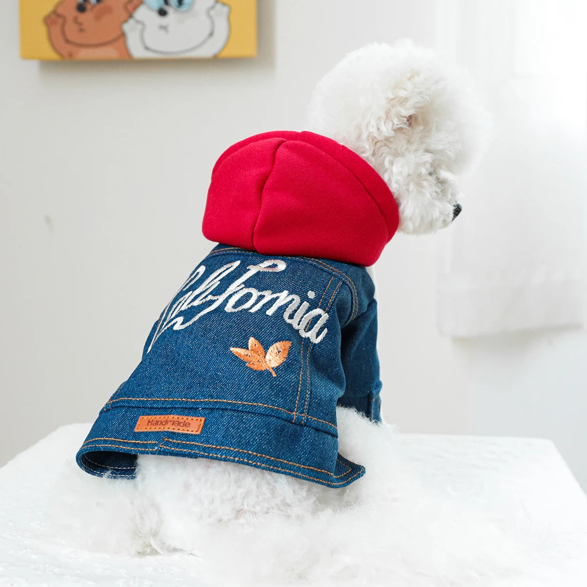 CaliCowboy™ Winter/Spring Dog Coat
