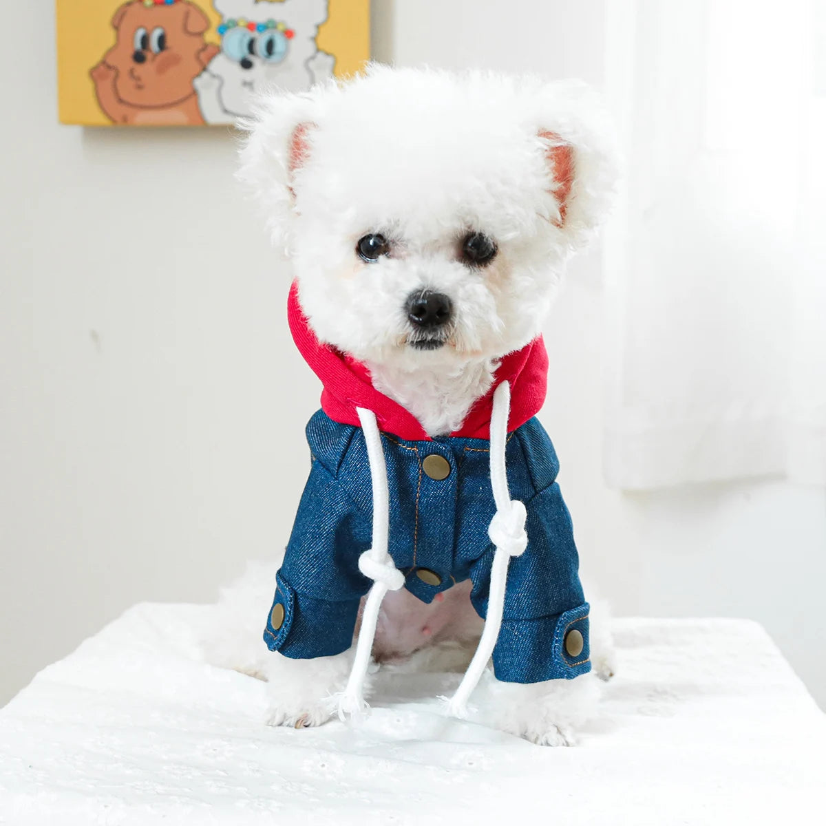 CaliCowboy™ Winter/Spring Dog Coat