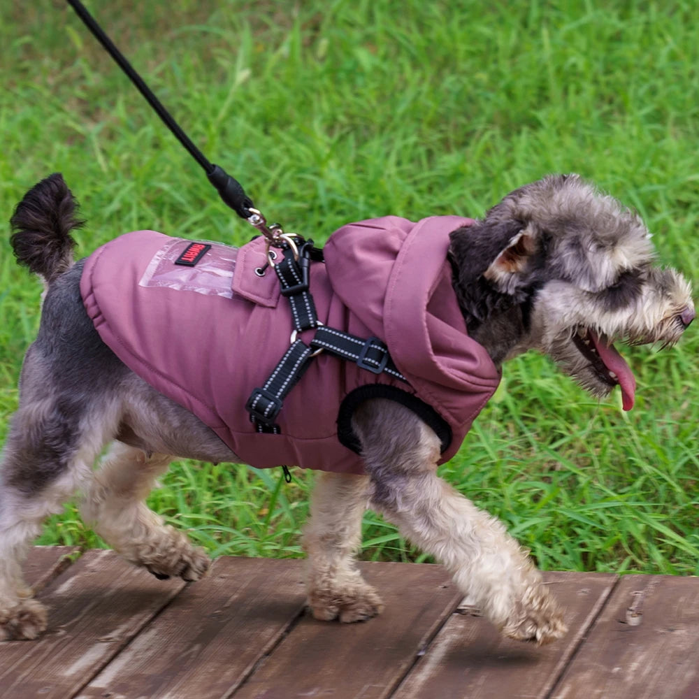 Dozzy Dog Waterproof Winter Jacket With Harness