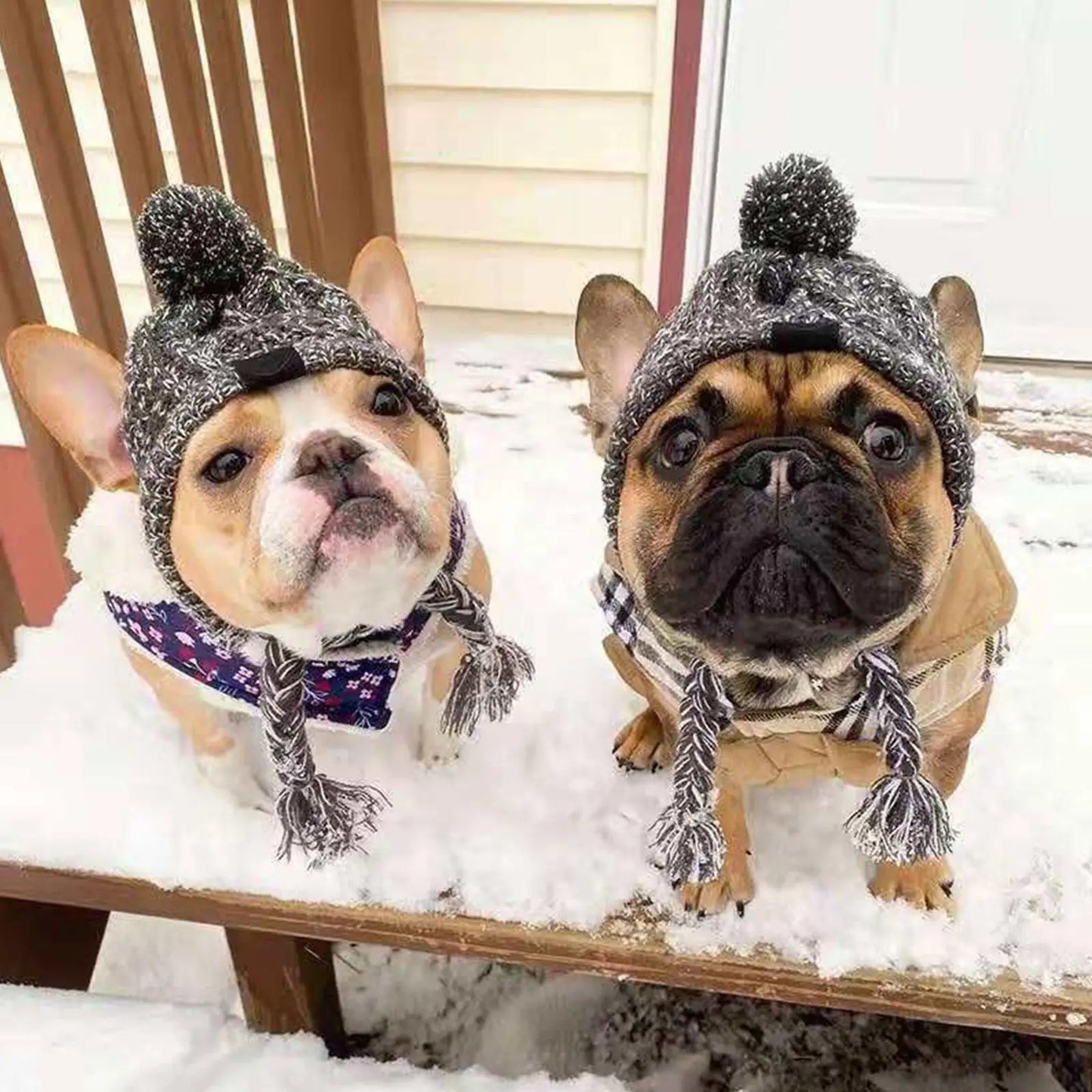 CozyPup Winter Dog Hat