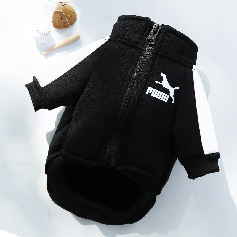 Puppy Pomii Winter Dog Sweatshirt