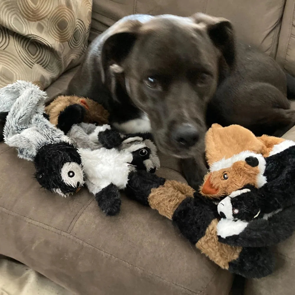 Squeaky Fun Plush Dog Toy