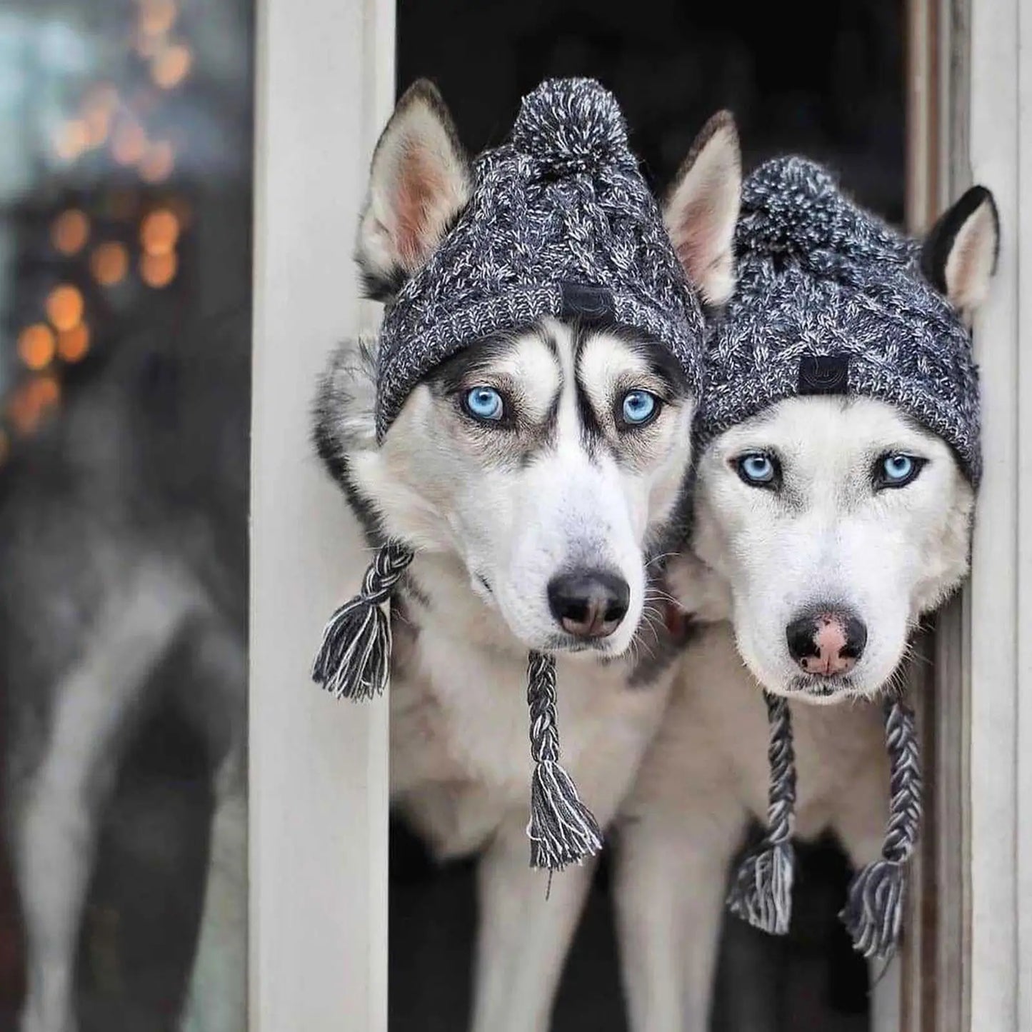CozyPup Winter Dog Hat
