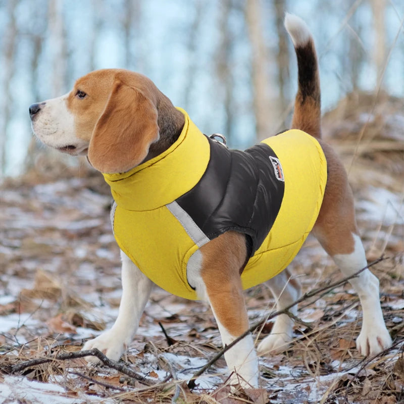 Cozy Winter Dog Jacket