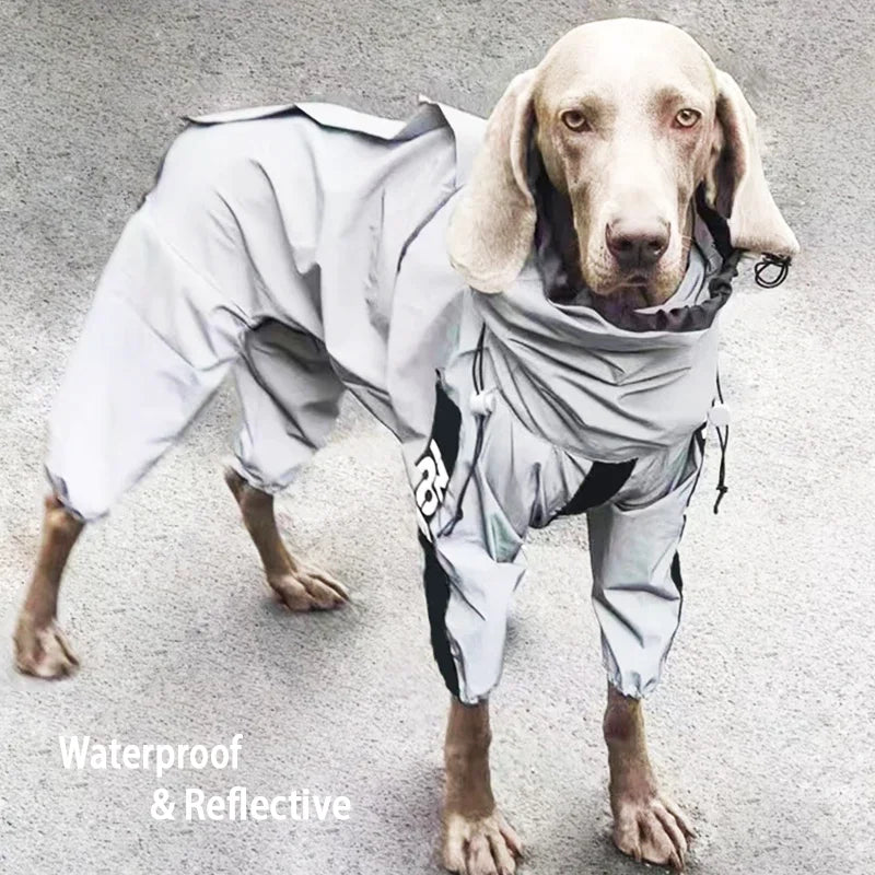 ShineGuard™ Reflective Dog Coat - Waterproof & Sunscreen Outdoor Jacket