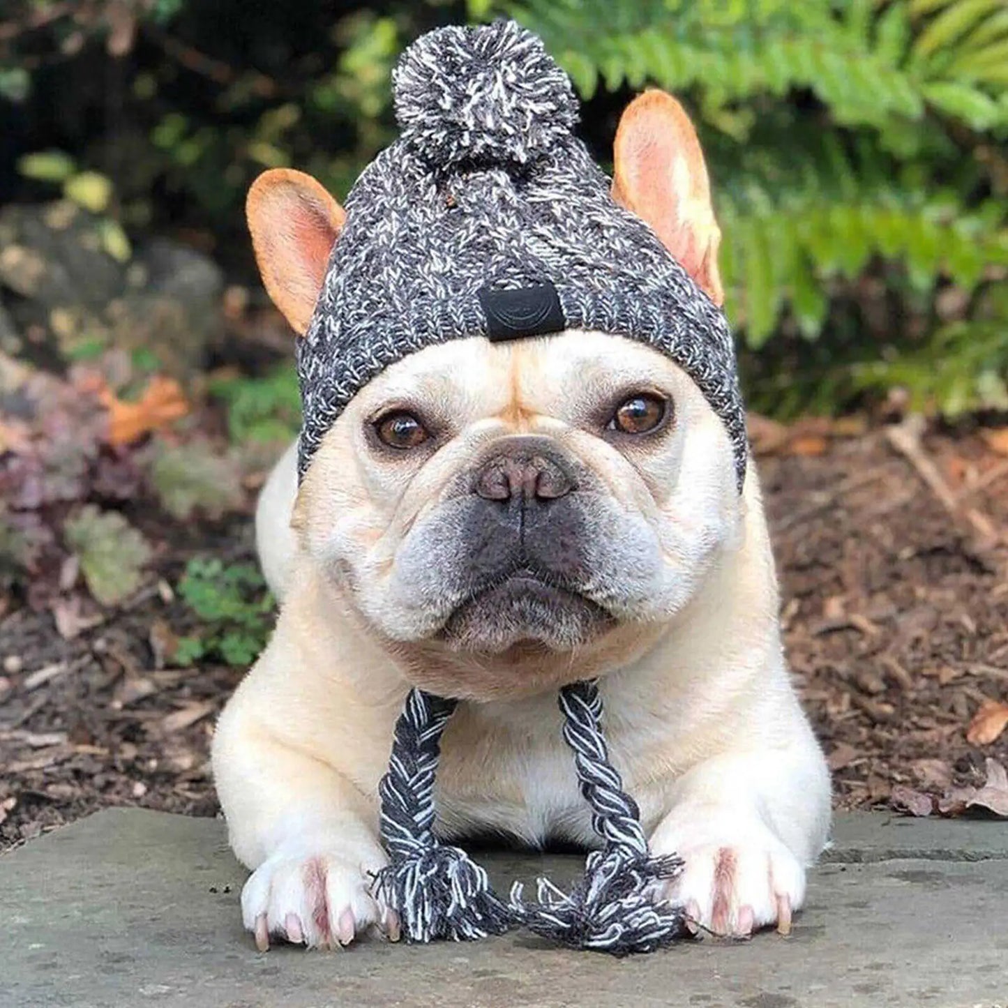 CozyPup Winter Dog Hat