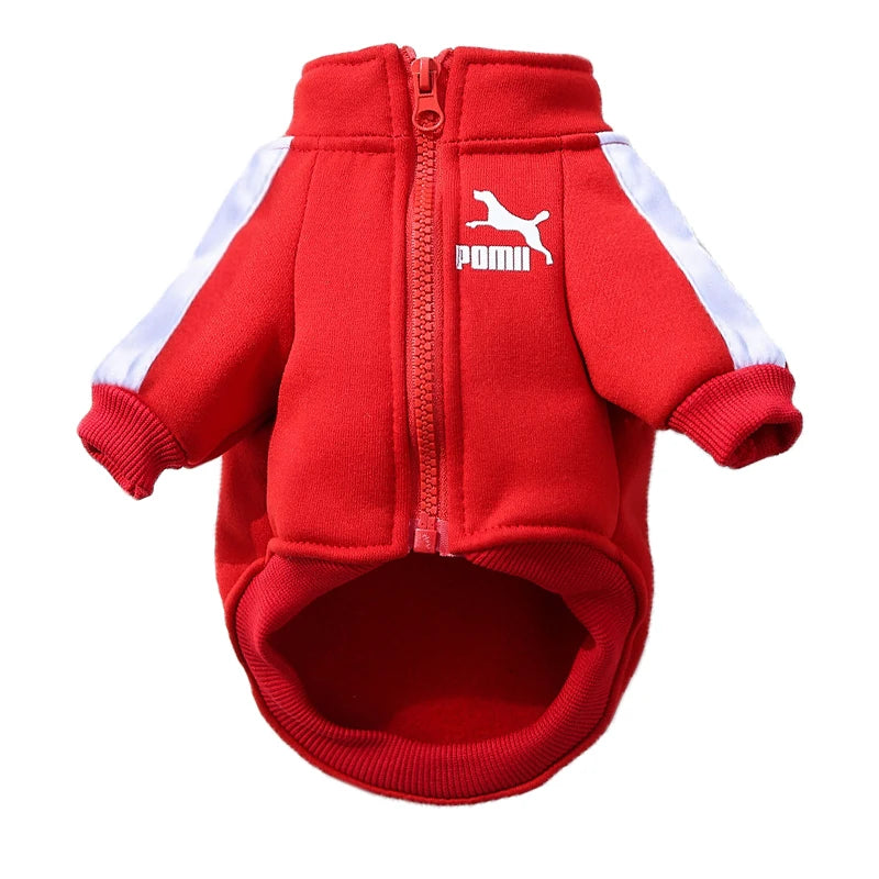 Puppy Pomii Winter Dog Sweatshirt