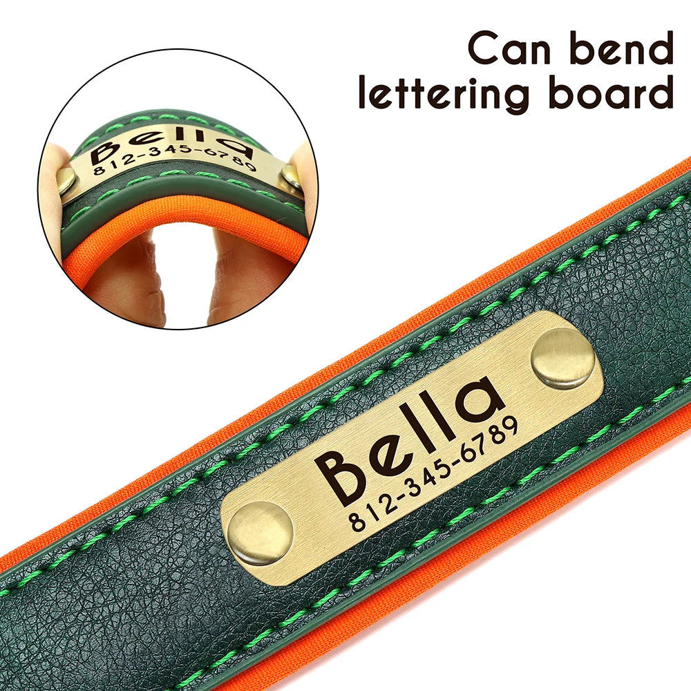 Custom Leather Padded Dog Collar