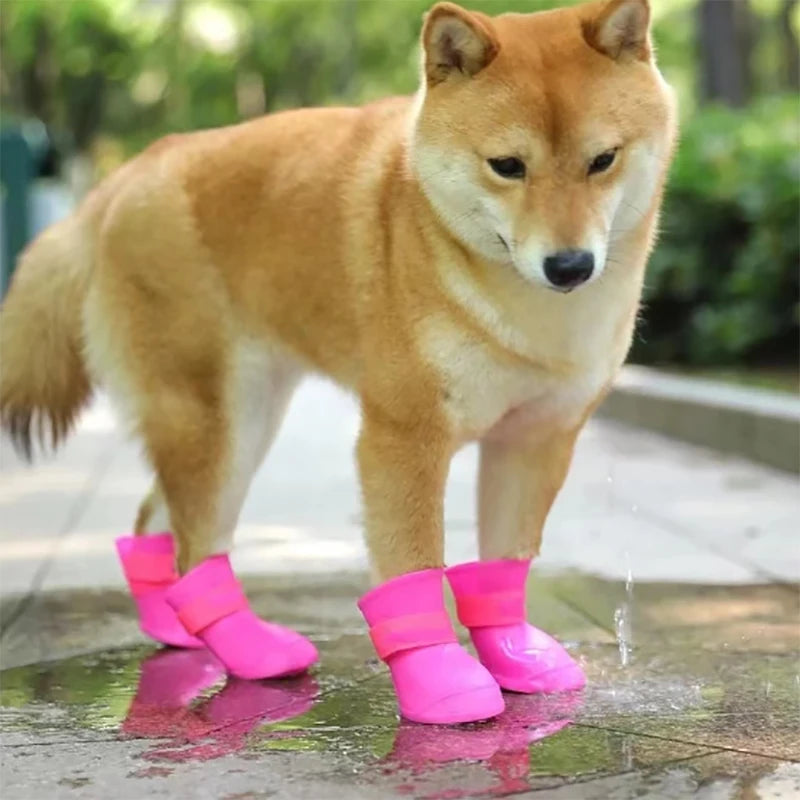 Rainy Day Dog Boots