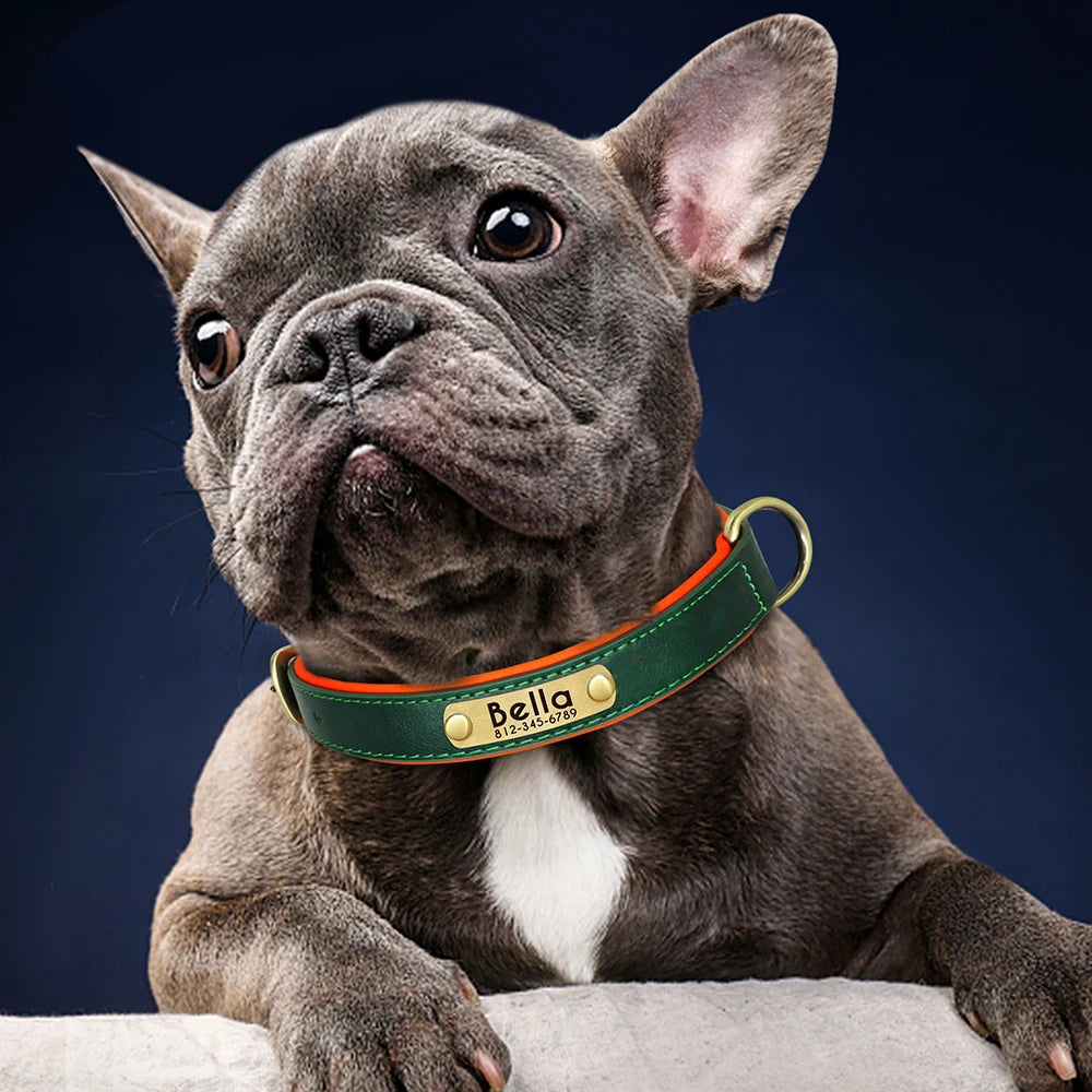Custom Leather Padded Dog Collar