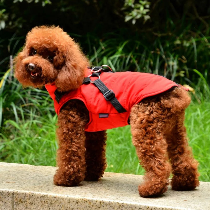 DualFit™ 2-in-1 Dog Jacket with Harness - Waterproof Winter Dog Coat
