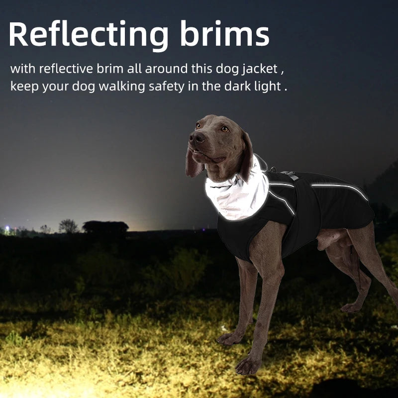 LuxWarm™ Waterproof Dog Jacket - Soft Padded Reflective Winter Coat