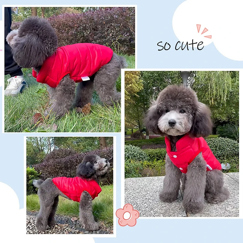 DualWarm™ Dog Coat - Soft Winter Dog Vest