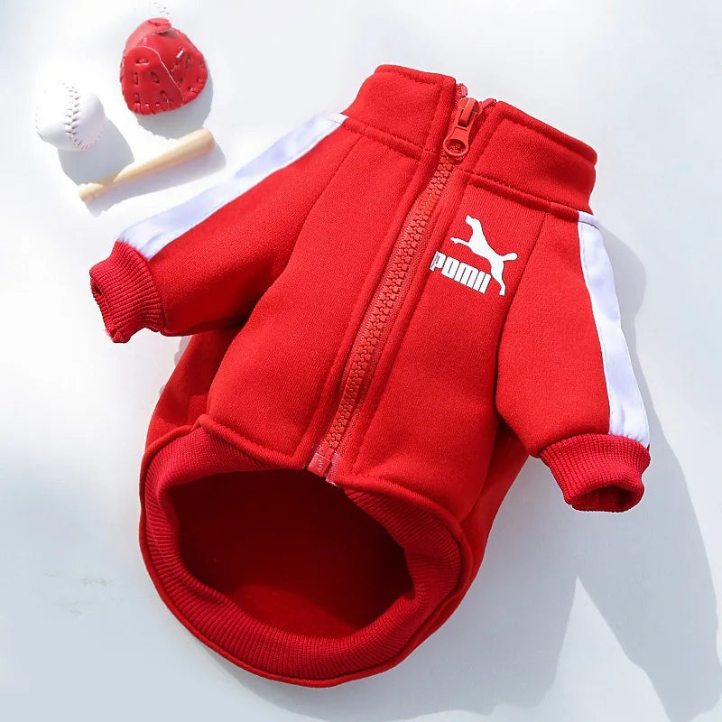 Puppy Pomii Winter Dog Sweatshirt