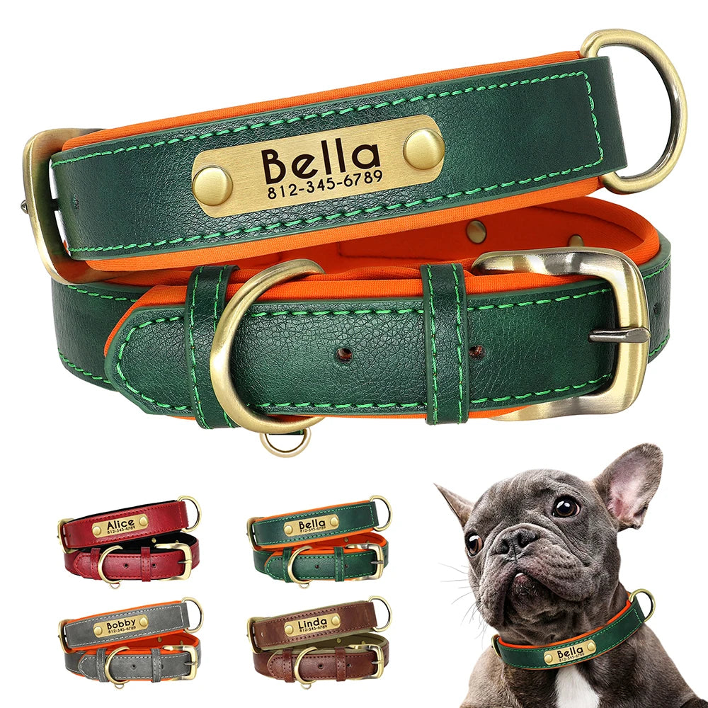 Custom Leather Padded Dog Collar
