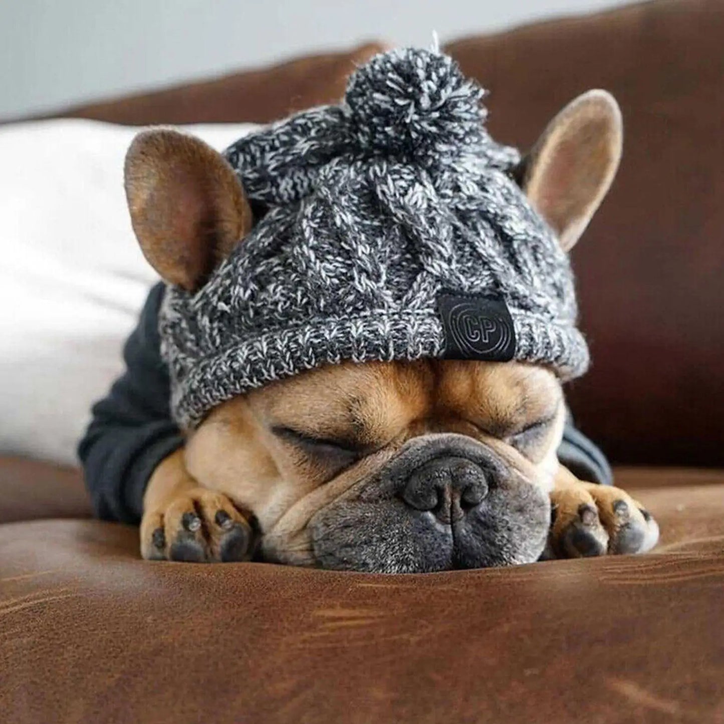 CozyPup Winter Dog Hat