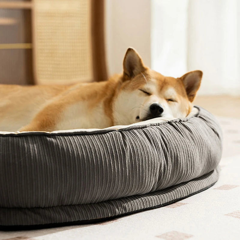 CozyPaws Memory Foam Dog Bed