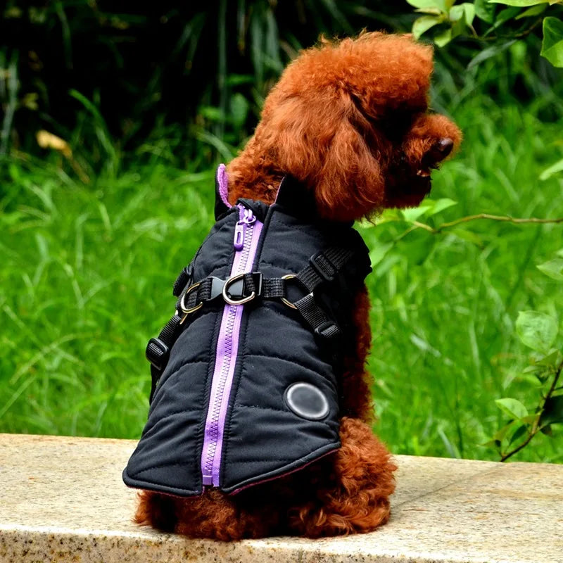 DualFit™ 2-in-1 Dog Jacket with Harness - Waterproof Winter Dog Coat
