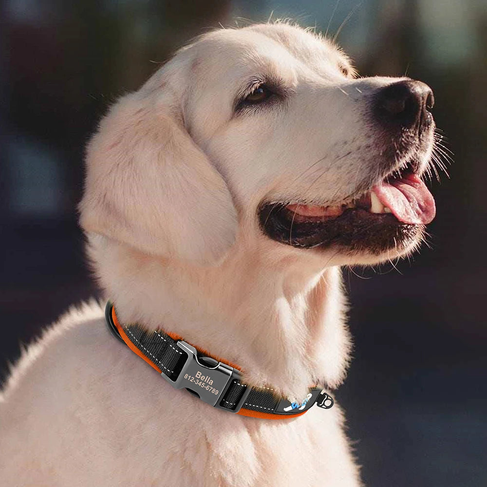 ReflectaID™ Personalized Dog Collar - Engraved ID, Reflective Nylon with Soft Padding