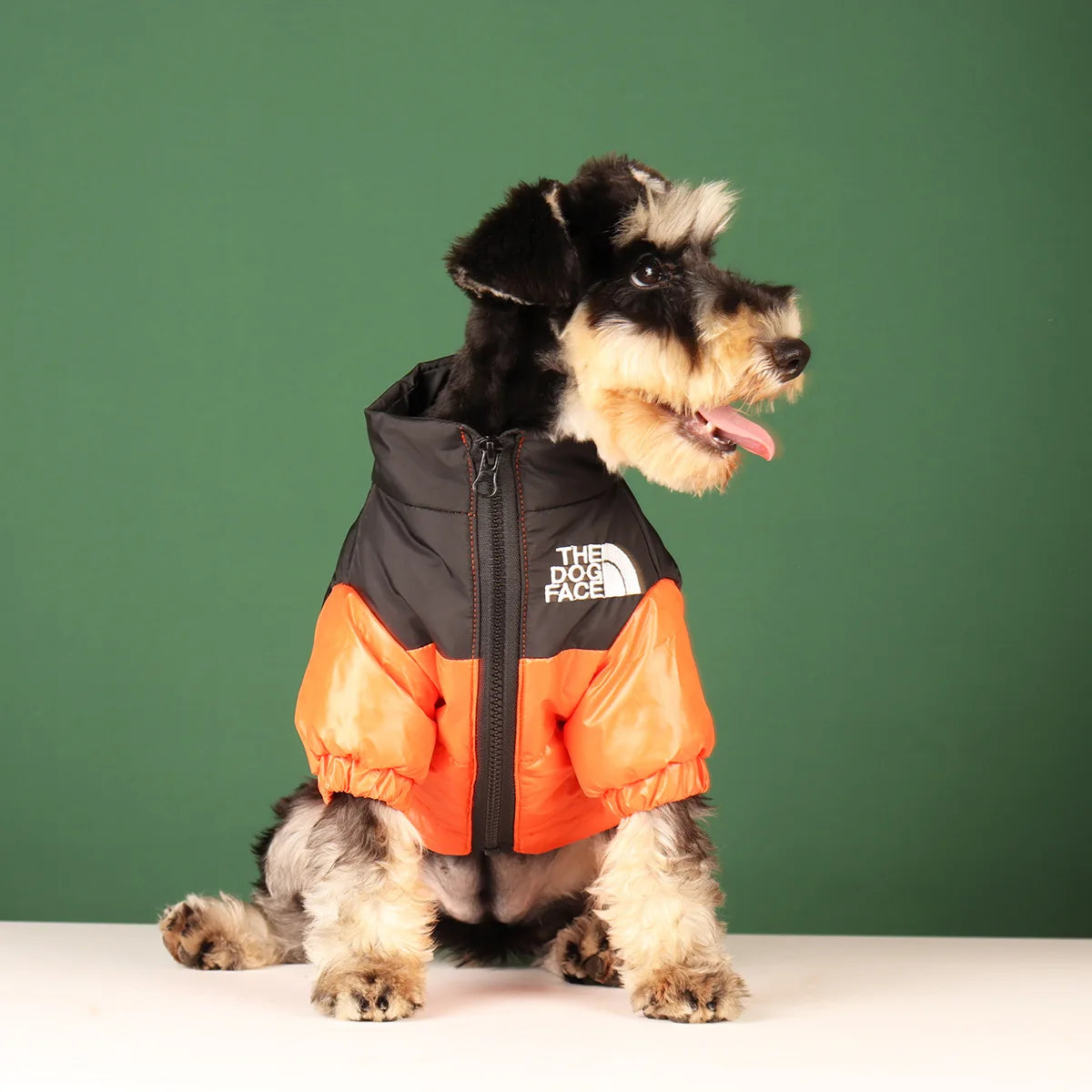 Comfy Paws Winter Dog Coat