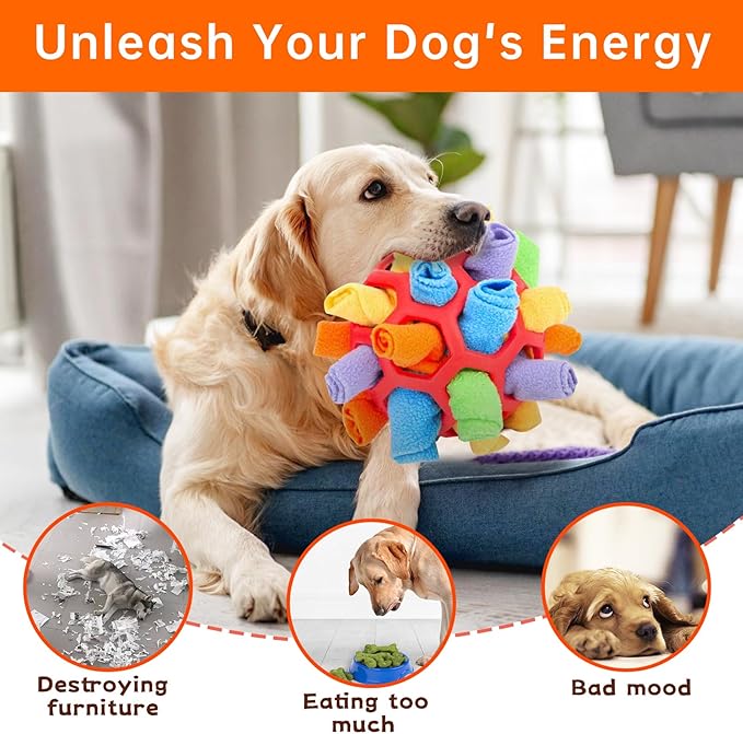 Dog Sniff & Play Ball™