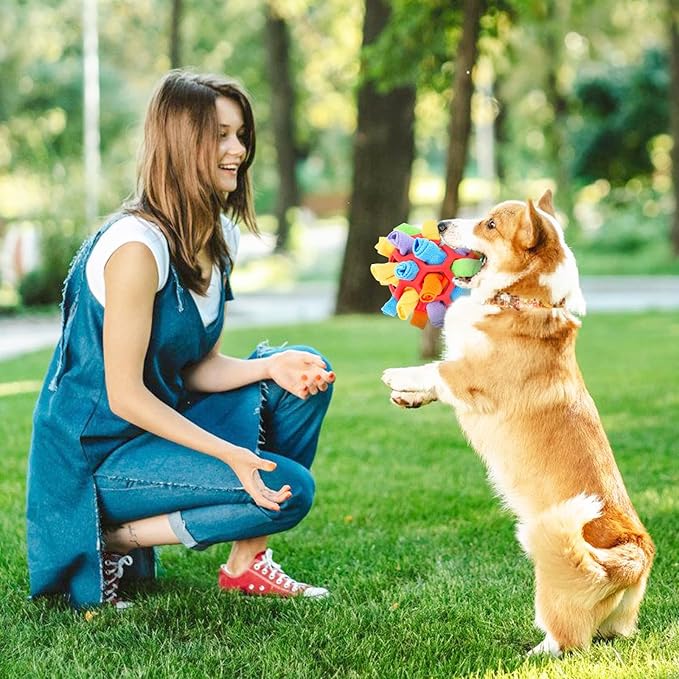 Dog Sniff & Play Ball™