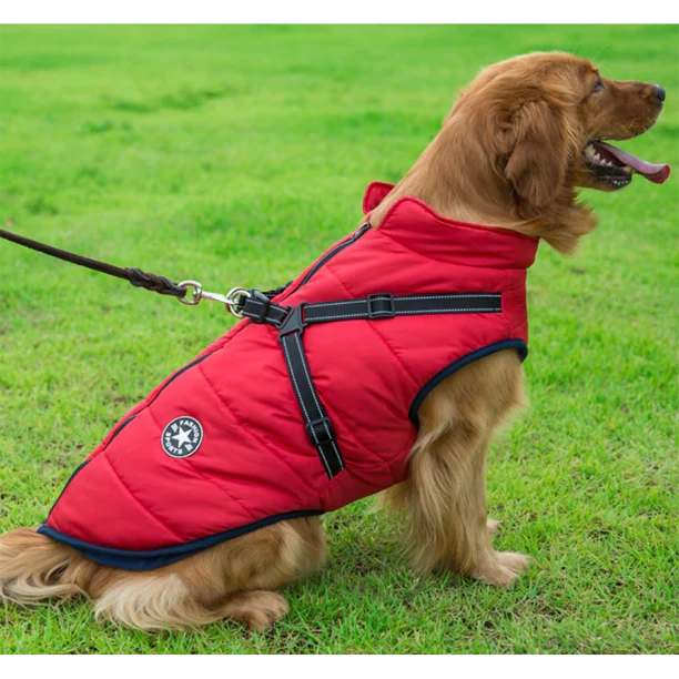 Pawsome 3 in 1 Waterproof Dog Jacket