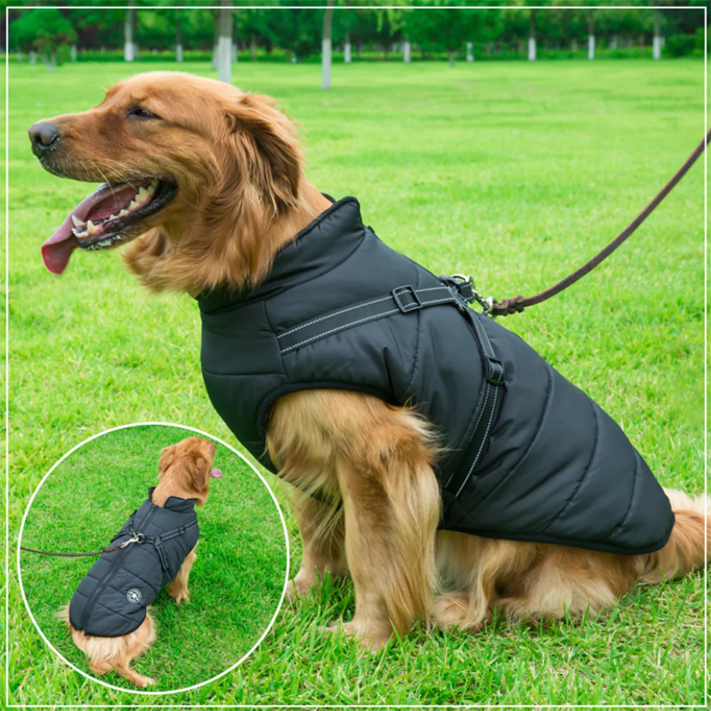 Pawsome 3 in 1 Waterproof Dog Jacket