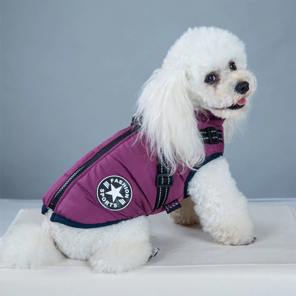 Pawsome 3 in 1 Waterproof Dog Jacket