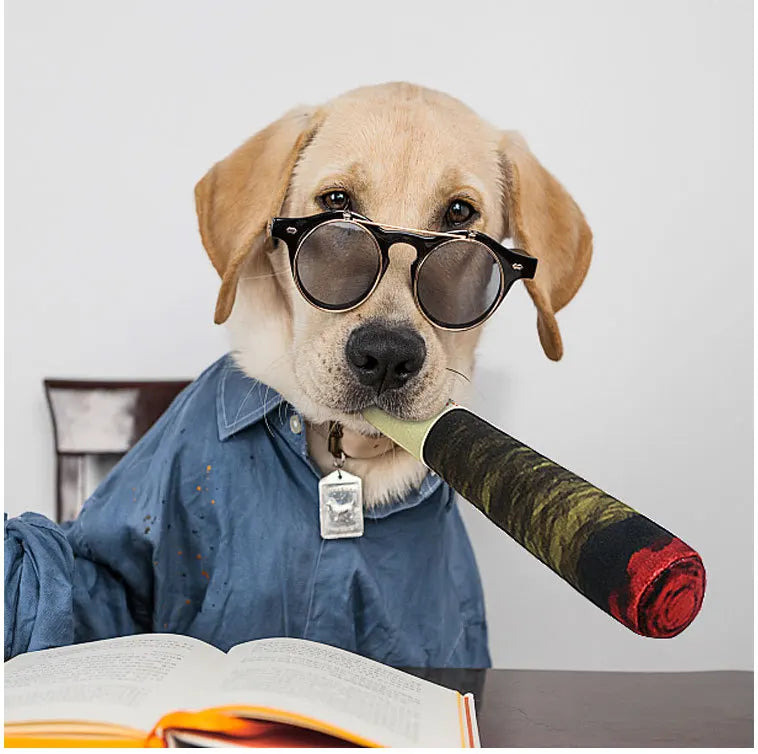 ChewCigar™ Interactive Joint Dog Toy - Funny Plush Squeaky Chew