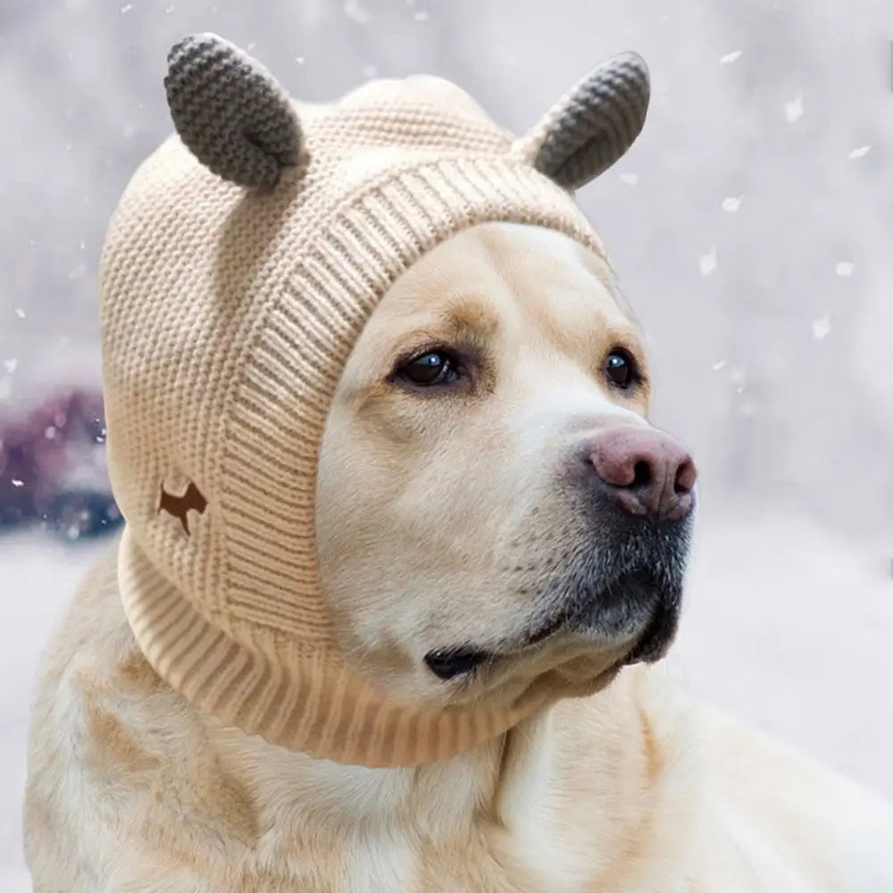 CozyPaws Dog Ear Muffs Dog Hat