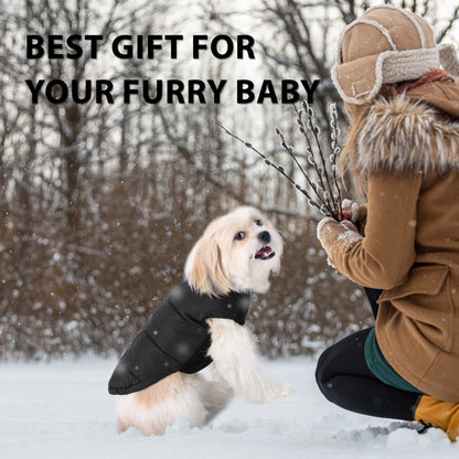 ChillShield™ Winter Dog Coat with Zipper - Windproof Jacket