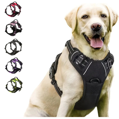 Easy-Control No-Pull Dog Harness