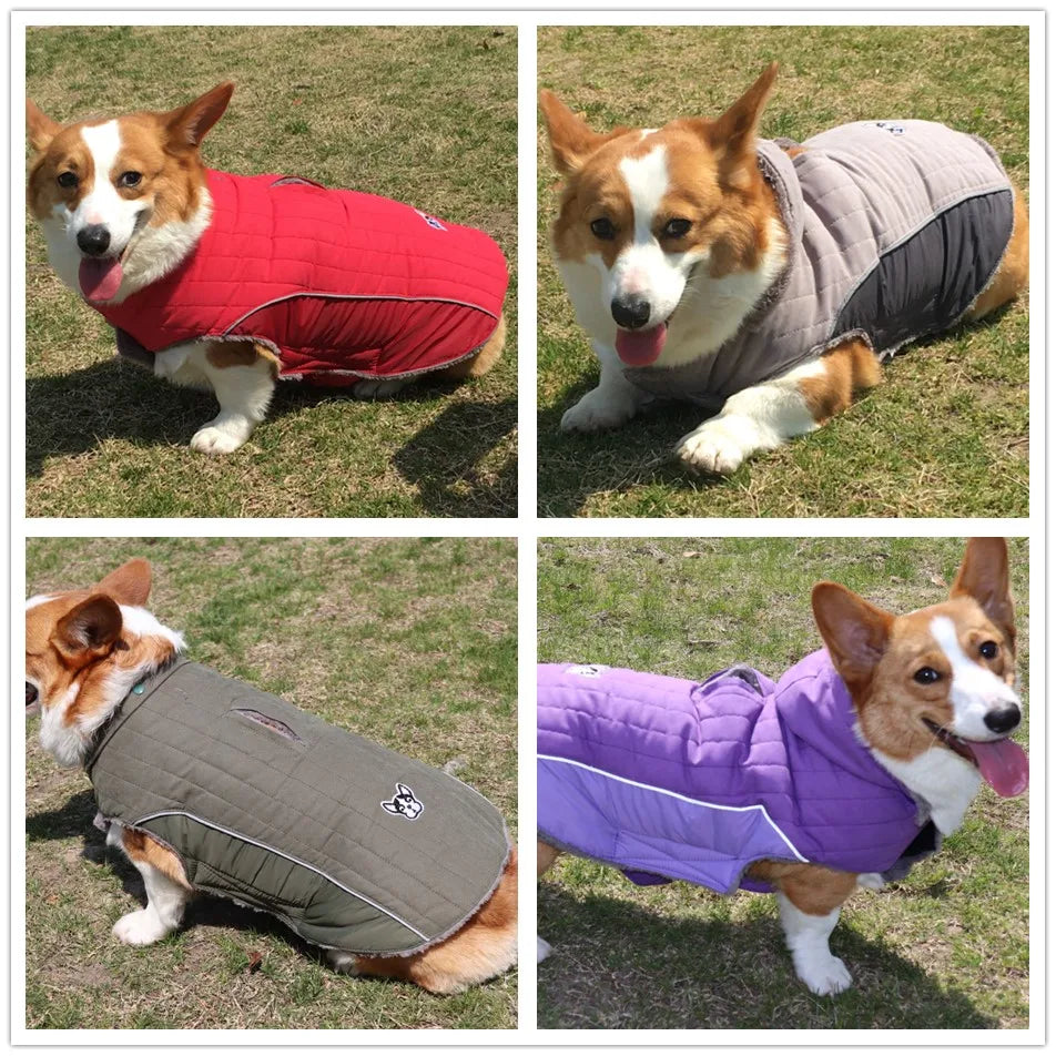 ArcticCozy™ Reflective Dog Jacket - Warm Quilted Winter Coat