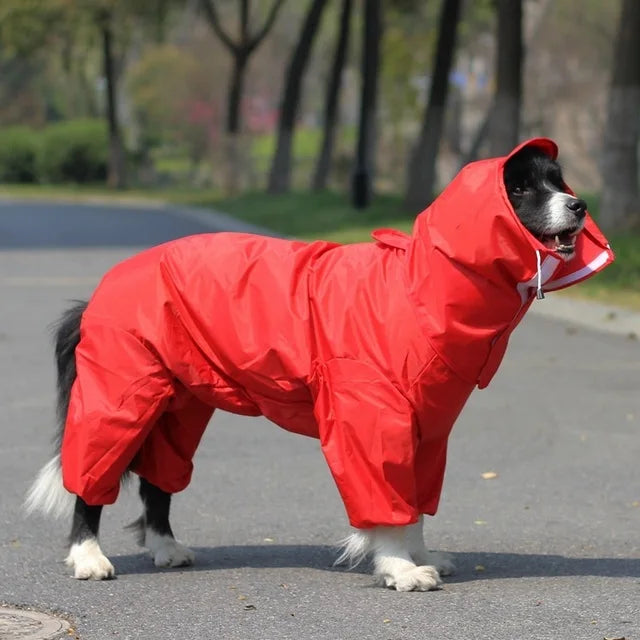 Paws & Rain Canine Coat Protector Dog Jacket